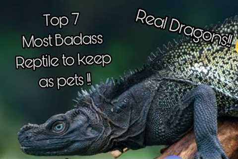 Top 7 Most Badass Reptile Pets - Dragons Still Exist!!😱
