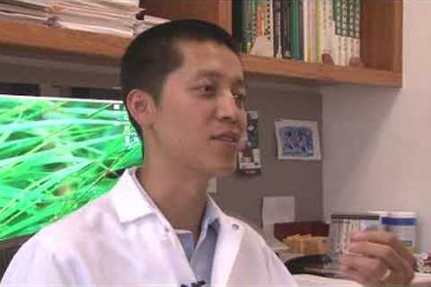 The Science Behind Traditional Chinese Medicine