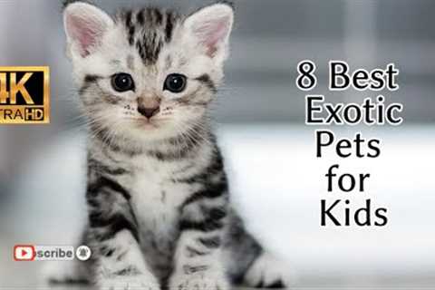 8 Best Exotic Pets for Kids 4K