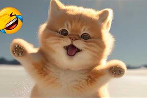 1 HOUR FUNNY CATS COMPILATION 2023😂| Best Funny Cat Videos 😸 ! #5