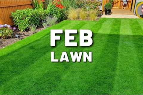 First Mow of the Year // February Lawn Care Calender Tips (Winter)