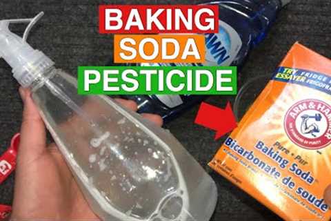 Baking Soda as Pesticide | Powerful Organic Pesticide | Baking Soda in the Garden