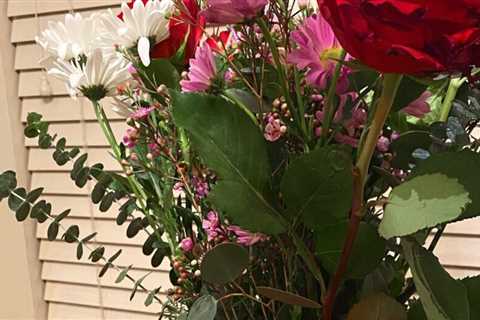 WIAW (Valentine's Day Edition)