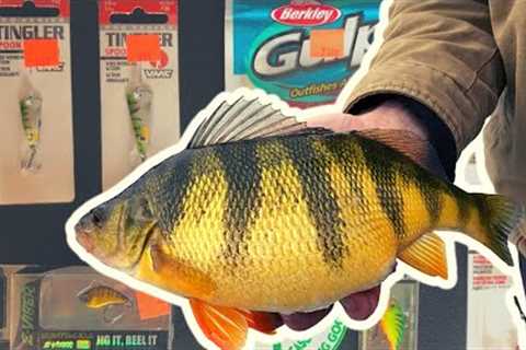 How to Catch GIANT Lake Cascade Perch (and free tackle give-a-way)