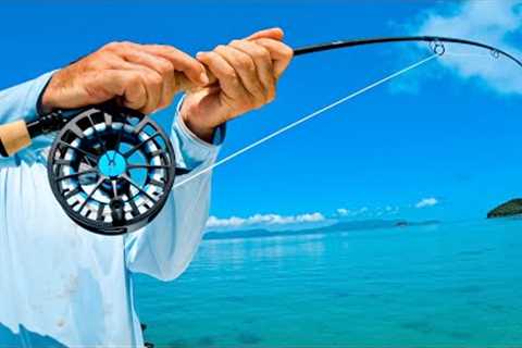 Impossible To Catch (unicorn of fly fishing)