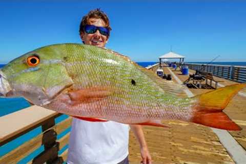 Most EXPENSIVE Fish EVER Caught off Pier! Catch Clean Cook (Juno Pier Fishing)
