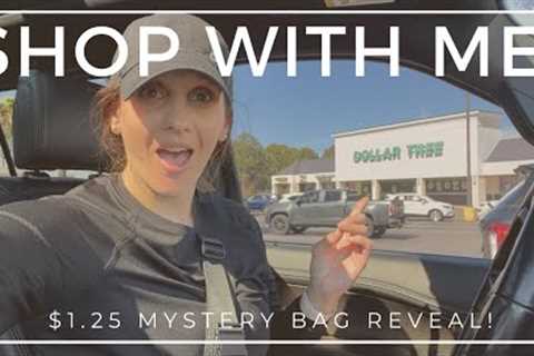 *COME WITH ME TO DOLLAR TREE* $1.25 BRAND NEW ITEMS &amp; CAR HAUL (MYSTERY BAG HAUL)