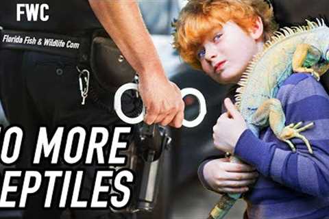 Florida's WAR on Reptile Keepers.