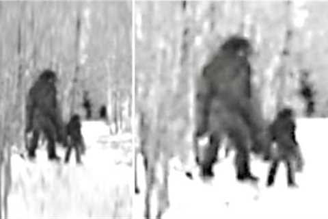 This Rancher Noticed This On His Trail Camera Deep In The Woods But Can't Explain What It Captured
