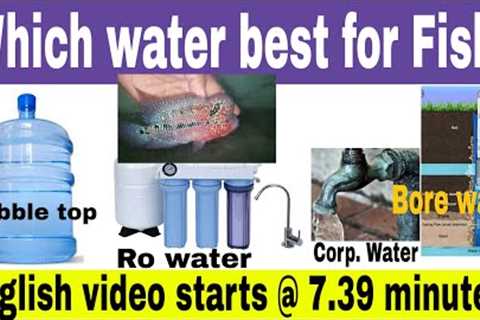 Best water for fish tanks