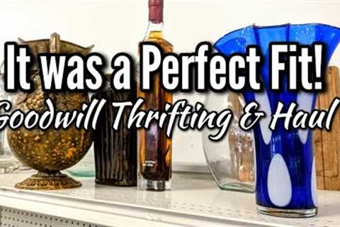 It Was a Perfect Fit! | Goodwill Thrift Shopping with Me &amp; Today's Home Haul | Thrifting in 2023