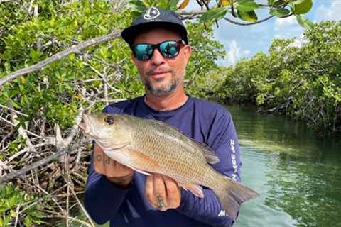 Whole Mangrove Snapper Catch Clean Cook
