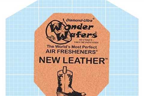 9 Best Car Air Fresheners in 2023