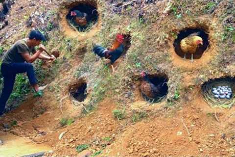 Construction of cages to avoid cold and incubate eggs for chickens - The process of building a farm