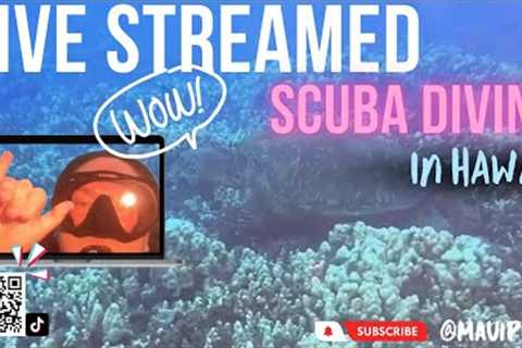 LIVE STREAMED SCUBA DIVING IN HAWAII WITH EELS, TURTLES AND MORE FOR SUNSET FULL VIDEO