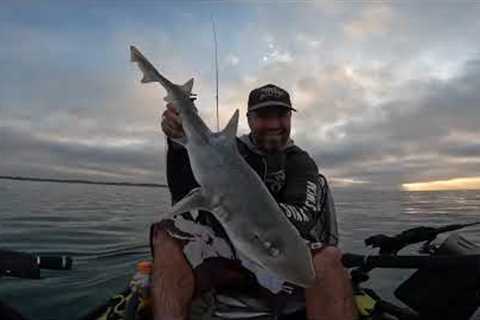 Western port Bay Fishing