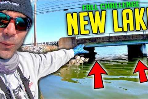 How to Find FISH + Catch Fish in FALL (NEW Lake Challenge)