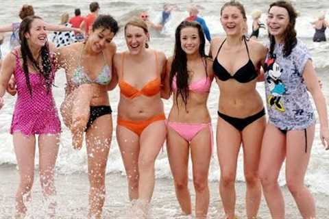 Funny Travel fails Videos | Too much comedy 😃😃 Watch at the end...