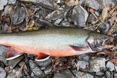 Peaceful river FLY FISHING fun in Kodiak Alaska