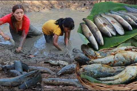 A lot fish in water muddy catching for food| Fish crispy delicious for dinner