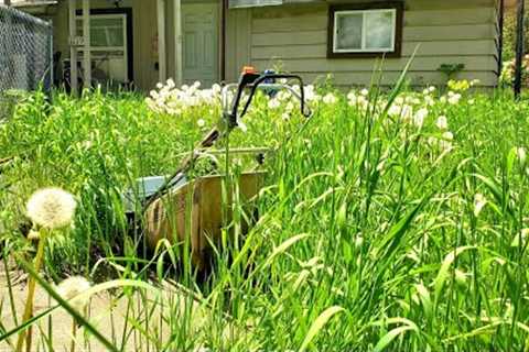 Tall Grass Takes Over Property | Let's Clean This Mess Up!