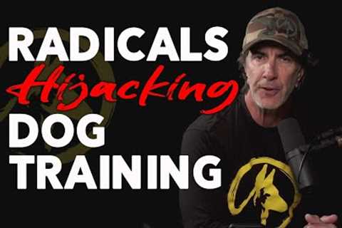 Radicals are Hijacking Dog Training - The Purely Positive LIE!