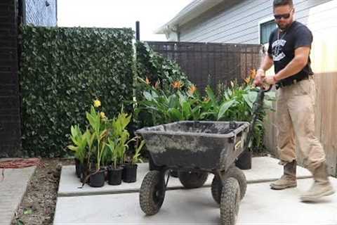LANDSCAPING PLANNING AROUND THE POOL
