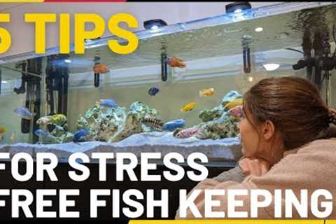 How to keep fish easy and stress free - 5 TIPS for a low maintenance tank
