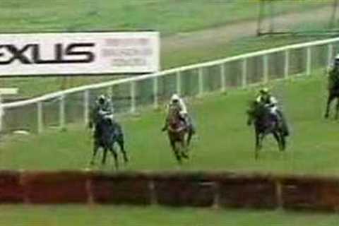 Horse Racing Gone Bad (part 1)