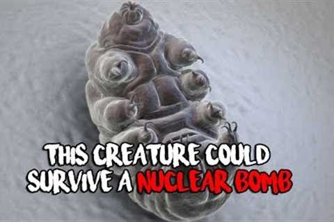 These Creatures Could Survive A Nuclear Bomb!