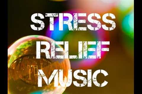Easy way to reduce stress, stress relief music, stress lofi