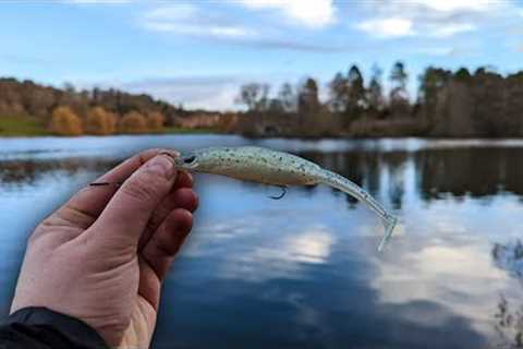 Lure fishing on a Lake for Pike 🎣🐊