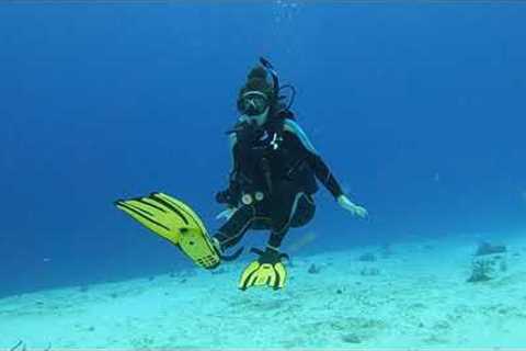 Scuba Diving Cozumel- 02.2023