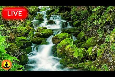 🔴 Relaxing Music 24/7, Stress Relief Music, Sleep Music, Meditation Music, Study, Flowing River