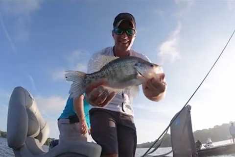 Fishing Submerged Timber For Crappie