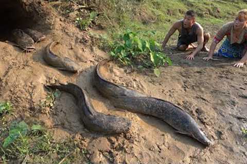 Survival skills in the jungle, Primitive technology, Catch many big fish in pit underground