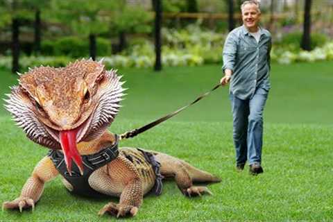 20 Exotic Pets People Actually Own