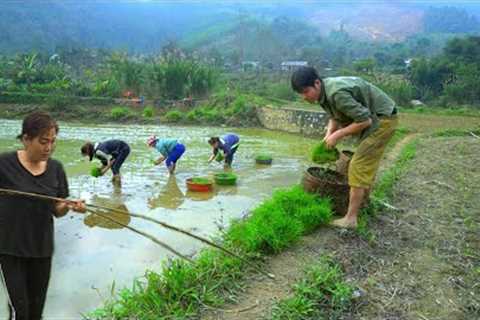 Kong and his girlfriend build a new life - Cultivating the land and planting wet rice