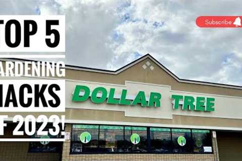 Top 5 Dollar Tree Gardening hacks