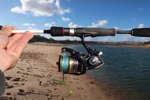Beginners Guide To Land-Based Fishing (Tips, Tricks and Techniques)