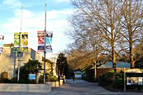 Review and History of Atlanta Zoo: What I Bet You Didn't Know