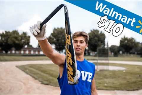 I Bought the CHEAPEST Baseball Bat at WALMART ($10)