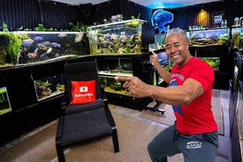 Changing Aquariums in My FISHROOM