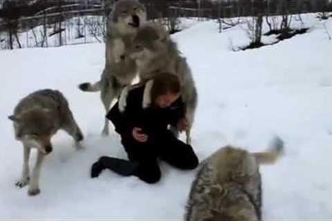 The most amazing friendships between humans and animals :)