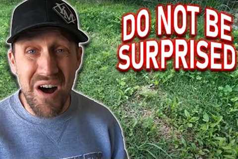 Quit expecting your lawn to be 100% WEED FREE, 100% of the time!