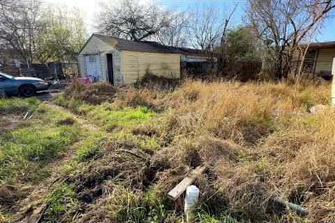 I DROVE by this DISASTER Lawn - The HOMEOWNER was SHOCKED when I TRANSFORMED it