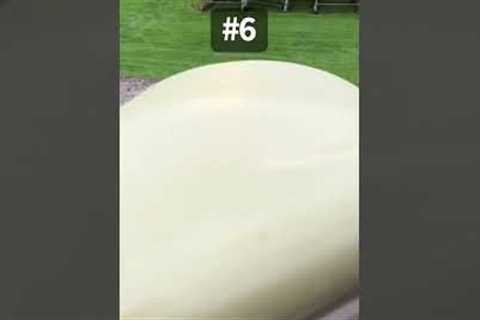 My top 10 funny viral videos at the park