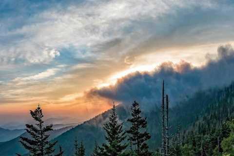 Five Outdoor Activities You Can Do in Great Smoky Mountains National Park