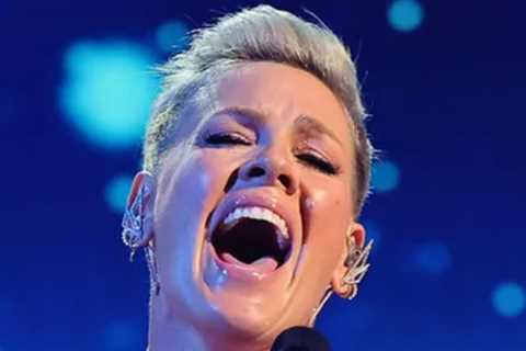 P!nk Pays Tribute to Late Father in New Song 'When I Get There'