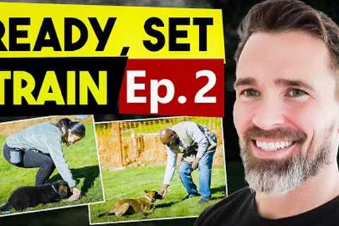 The Importance of Proper Luring and Play in 🐶 Dog Training: A Trainer Showdown 👀